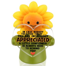MFOMFO Sunflower Emotional Support Figurine with Appreciation Message, You are Incredibly Appreciated Inspirational Desk Decor Gift for Coworker Teacher Friend Home Office-LUN13