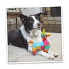 Doggijuana | Get The Pawty Started - Interactive Dog Toy