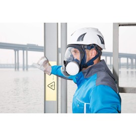 LDY-3 P-A-1 Filter Cartridge Against Organic Vapors and Dust for Respiratory Protection,Screw Type,4 Pcs