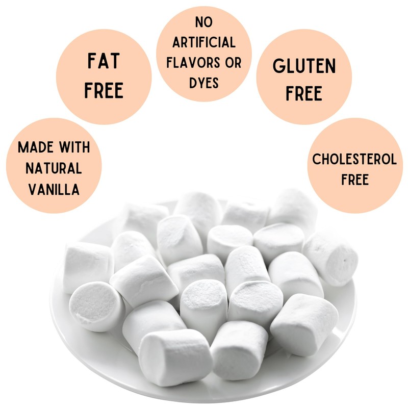1 lb Bag Campfire Mini Marshmallows – Vanilla Flavored, Gluten