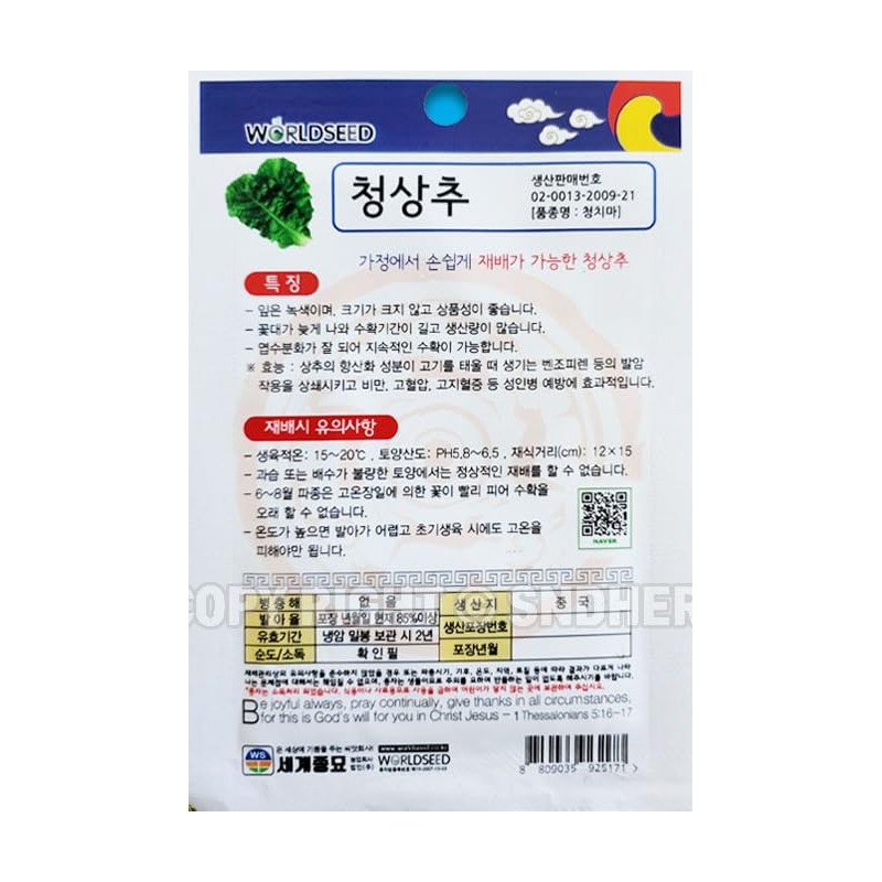 Green Lettuce Plant Seeds Korean, 1 Pack, 4 Grams (청상추)