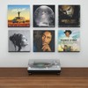 NIUBEE Acrylic Record Rack Wall Mount LP Album Cover Stand