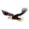 GT Graphics Express Bald Eagle - Vinyl Sticker Waterproof Decal