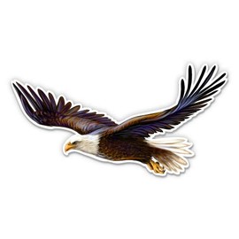 GT Graphics Express Bald Eagle - Vinyl Sticker Waterproof Decal