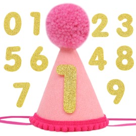 Pet Birthday Hat with Interchangeable Numbers 1-10 | Adjustable Pet Party Cone Hat for Dogs & Cats | Puppy Birthday Photo Props for 1st to 10th Birthday Celebrations (Pink Birthday Pet Hat)