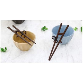 Edison Training Chopsticks for Adults (Right handed)