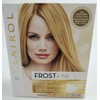 Clairol Ultra Precise Frost & Tip Blonde Highlights Light Blonde