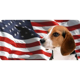 Beagle On U.S. Flag Photo License Plate
