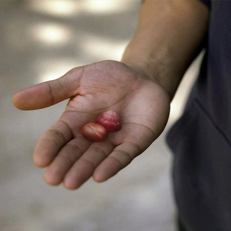 Centrum Hombres Americano #1 170 Gomitas D3 B6 B12 A