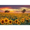 MISITU Classic Puzzle 1000 Pieces for Adults and Children Impossible