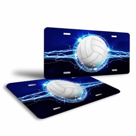 Pehede License Plate Volleyball Ball on The Flashing Background Metal Car Plate 6X12 Inch