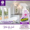 OdoBan OdoBan Ready-to-Use Disinfectant and Odor Eliminator, Set of 4
