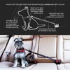 EzyDog EzyDog CLICK - Best Dog Seat Belt Car Harness