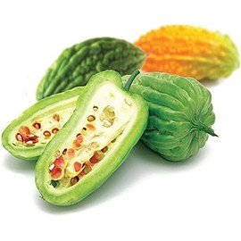 Gabby Insul Care Bitter Melon Natural Herbal Extracts (10:1) Active 500mg 240 Capsules Made in USA