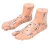 2pcs 19cm / 7.5in Feet Acupoint Model Acupuncture Teaching Aids