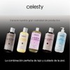 CELESTY Shampoo Matizador - Variedad Amarillo Azul Morado Negro Rojo