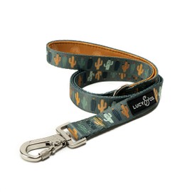 Lucy & Co. 5 Foot Dog Leash - Best Designer Dog Leashes - Leash for Big Dogs, Small Dog Leash, or Medium Dog Leash - Puppy Leash - Dog Accessories - Dog Supplies (Looking Sharp, Large)…