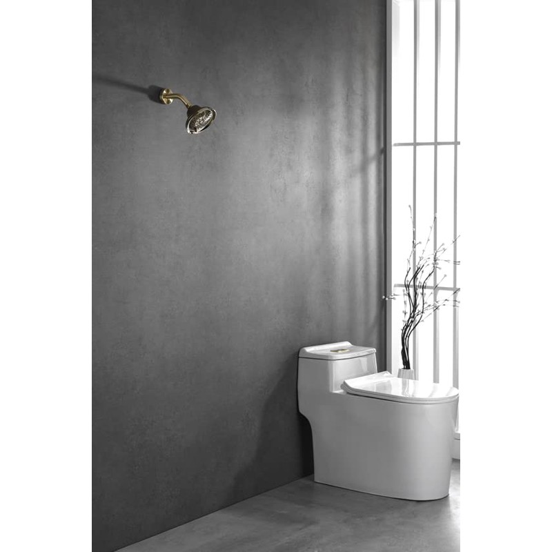 Rainovo 6 Spray Settings High Pressure Shower Head 5" Rain