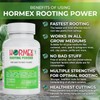Hormex Rooting Powder #1 & Rooting Cubes Combo - Rooting