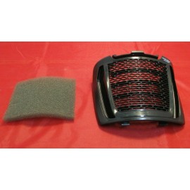 Dirt Devil UD70182 Endura Max Black Exhaust Filter and cover