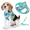 Jolifield Step in Dog Harness with Leash Set, Adjustable Soft