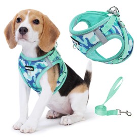 Jolifield Step in Dog Harness with Leash Set, Adjustable Soft Padded and Breathable Mesh for Small Sized Dog, Reflective No Pull No Choke Cat Vest Harness, Easy Control Pet Vest, Teal M
