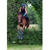 eGlove EQUEST GRIP PRO Leather Touchscreen Horse Riding Gloves (Jade