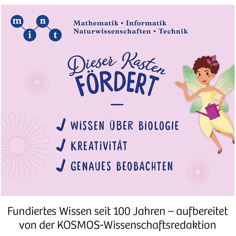 Kosmos fairy garden, Version 2020