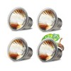 4 Pack 75W UVA UVB Reptile Light Bulbs,Basking Light Heat