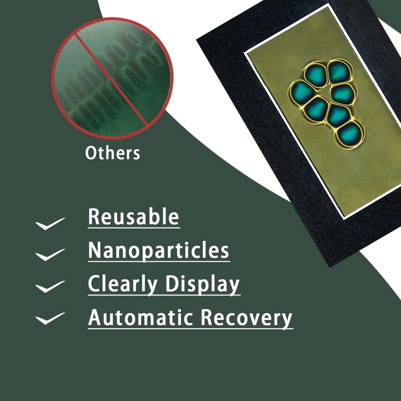 2 x 4 Inch Magnetic Field Viewing Film, Magnetic Field