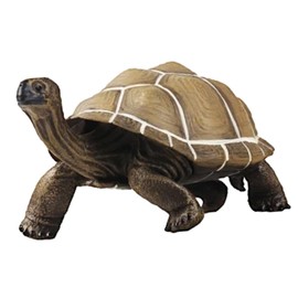 Totority Charming Decorative Turtle Figurine Outdoor Garden Tortoise Model Unique Turtle Toy