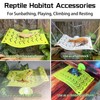 Gxsdj 2PCS Bearded Dragon Hammock,Turtle Basking Platform with Suction Cups,Lizard