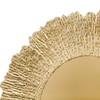 Coloch Set of 12 Plastic Charger Plates, 13" Reusable Reef