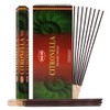 Citronella Incense Sticks and Incense Stick Holder Bundle Insence Insense