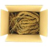 SLEEK & SASSY Golden Farms® Premium Millet Spray for Birds