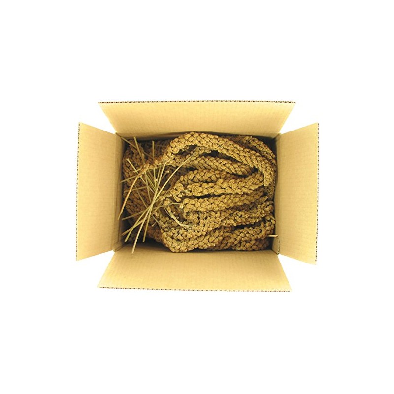 SLEEK & SASSY Golden Farms® Premium Millet Spray for Birds