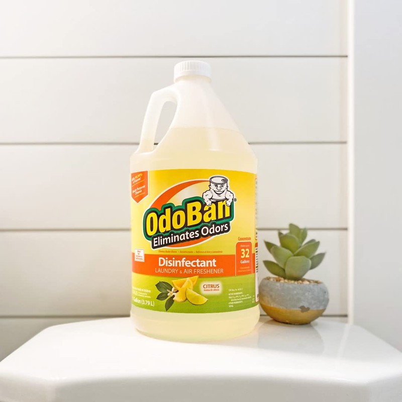 OdoBan Disinfectant Concentrate and Odor Eliminator, 1 Gallon, Citrus Scent