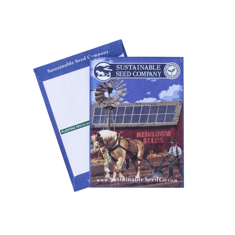 Bidwell Casaba Melon 1 g ~35 Seeds - Vegetable Gardening