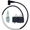 Ignition Coil With Spark Plug BM6A For Echo Shindaiwa Blower