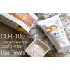 Elizavecca Collagen Ceramide Coating Protein Treatment