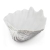 Afadorable Resin Seashell Decorative Bowl for Home Decor, Large Clam