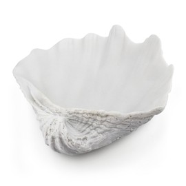Afadorable Resin Seashell Decorative Bowl for Home Decor, Large Clam Shell Bowl for Coffee Table Centerpiece Kitchen Counter, Sea Shell Key Bowl for Entryway Table (White)
