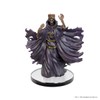 WizKids D&D Classic Collections: Monster (K-N, Plastic)