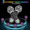 Karaoke Machine with 2 Wireless Microphones, Disco Lights, Portable Bluetooth