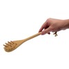 Takagi Beech Noodle Scoop