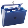 Smead Step Index Poly Organizer, 12 Pockets, Flap and Cord