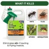 Nature’s Dome Pest Control Spray 1 Gallon | Natural Ant
