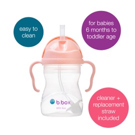 b.box Learning Cup Pack of 2 with Replacement Straws and Cleaning Brush | Flip Top, Heavy Straw, Handle, Leak-Proof | BPA Free & for Dishwasher | From 6 m | 2 x 240 ml