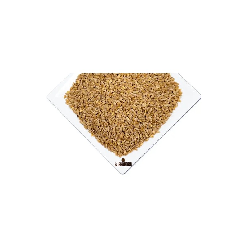 Trigo En Grano Buenahora® 5kg