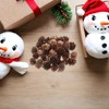 GRIRIW 100pcs Pine Cones Decorations - Natural Pine Cones Bulk